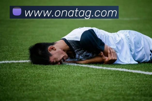 ag百家乐APP 封面图